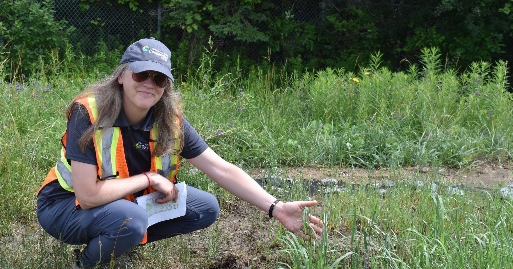 Richmond Hill plantings may be a way to stop salt pollution