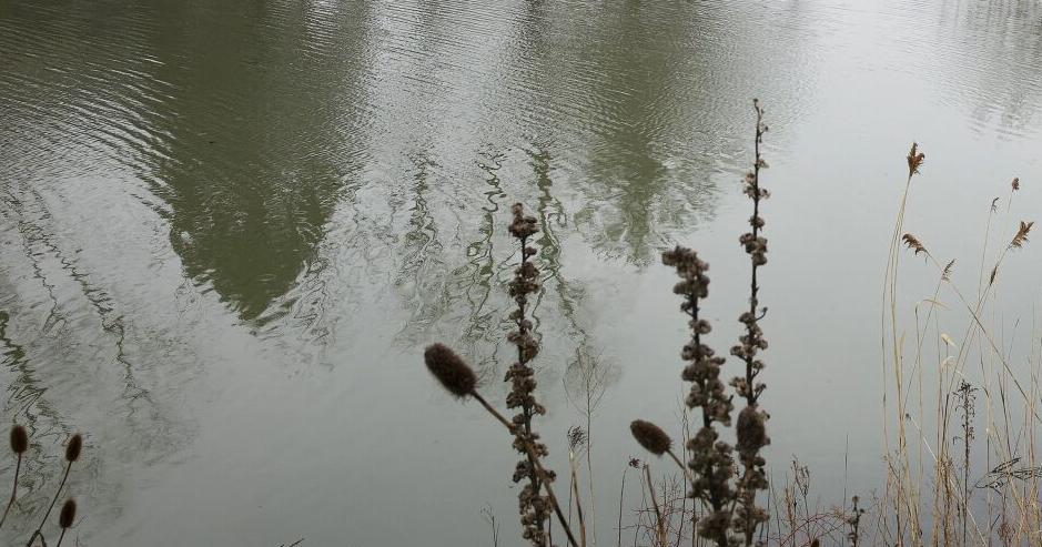 Stouffville could add stormwater fee to 5 , 214 properties