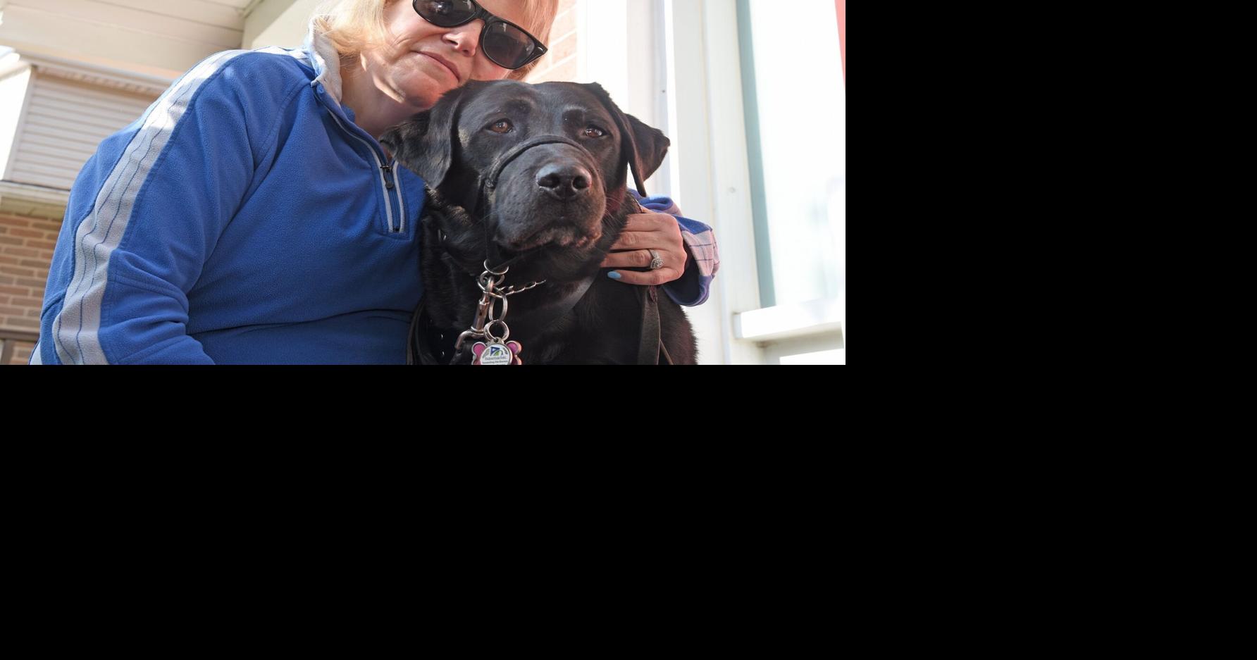 'Nutmeg’s my eyes' Treasured Newmarket dog guide was named hero after pulling owner to safety