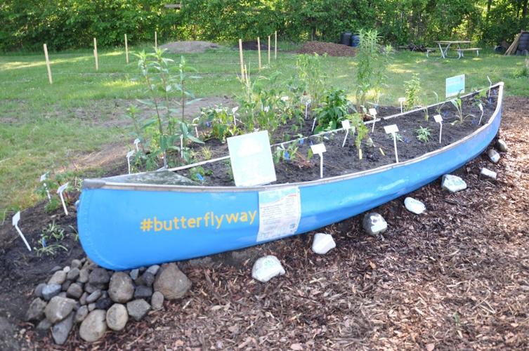 Georgina hosting pollinator education event this weekend