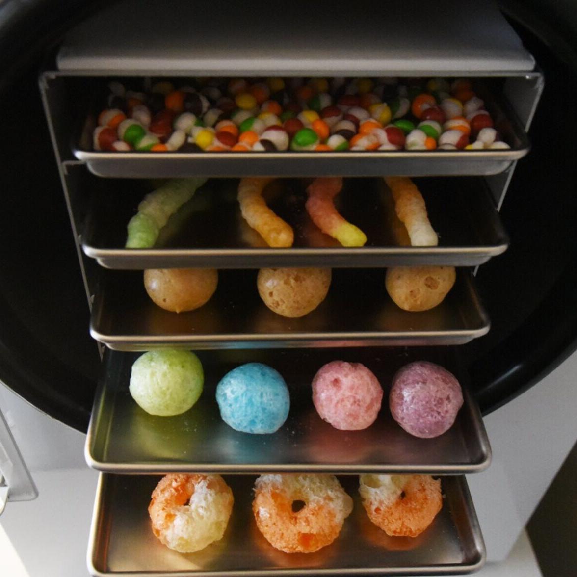 We Dehydrated This Huge Gummy Sushi Set, Candy in the Dehydrator Machine