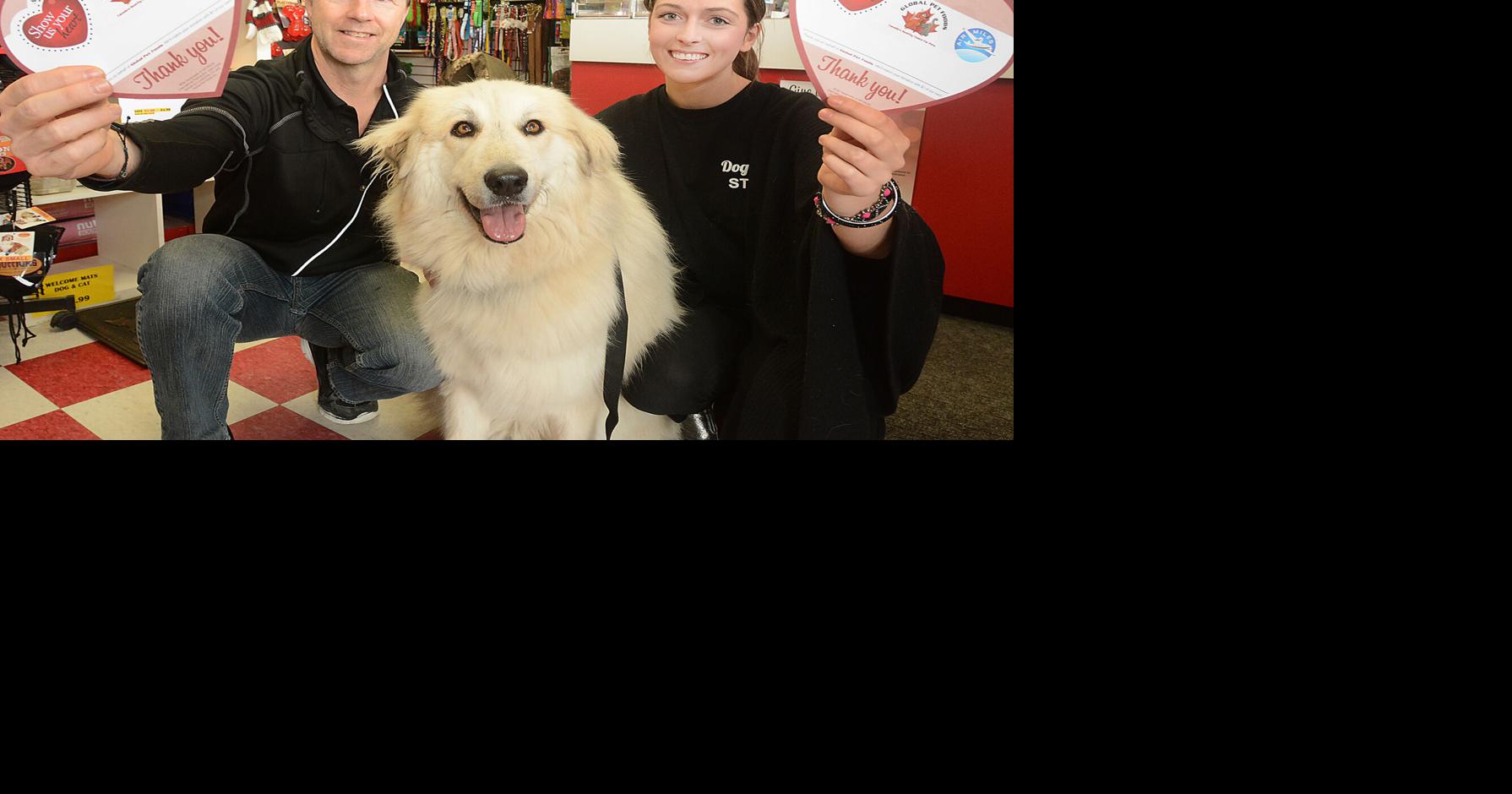 Global Pet Foods Aurora supports Dog Tales Rescue and Sanctuary