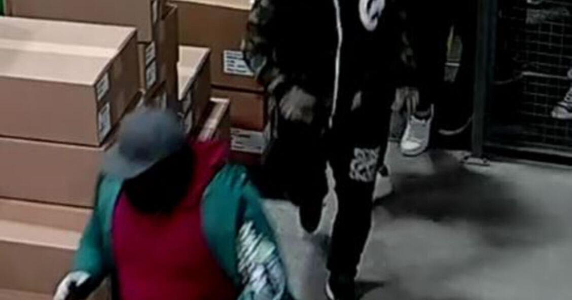 11 suspects sought after alleged Richmond Hill break-in