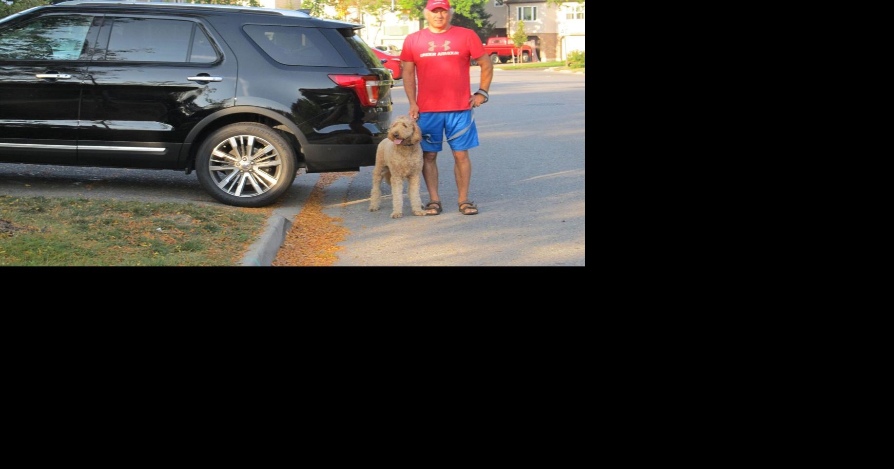 It's a parking freeforall in Markham, chief bylaw officer admits