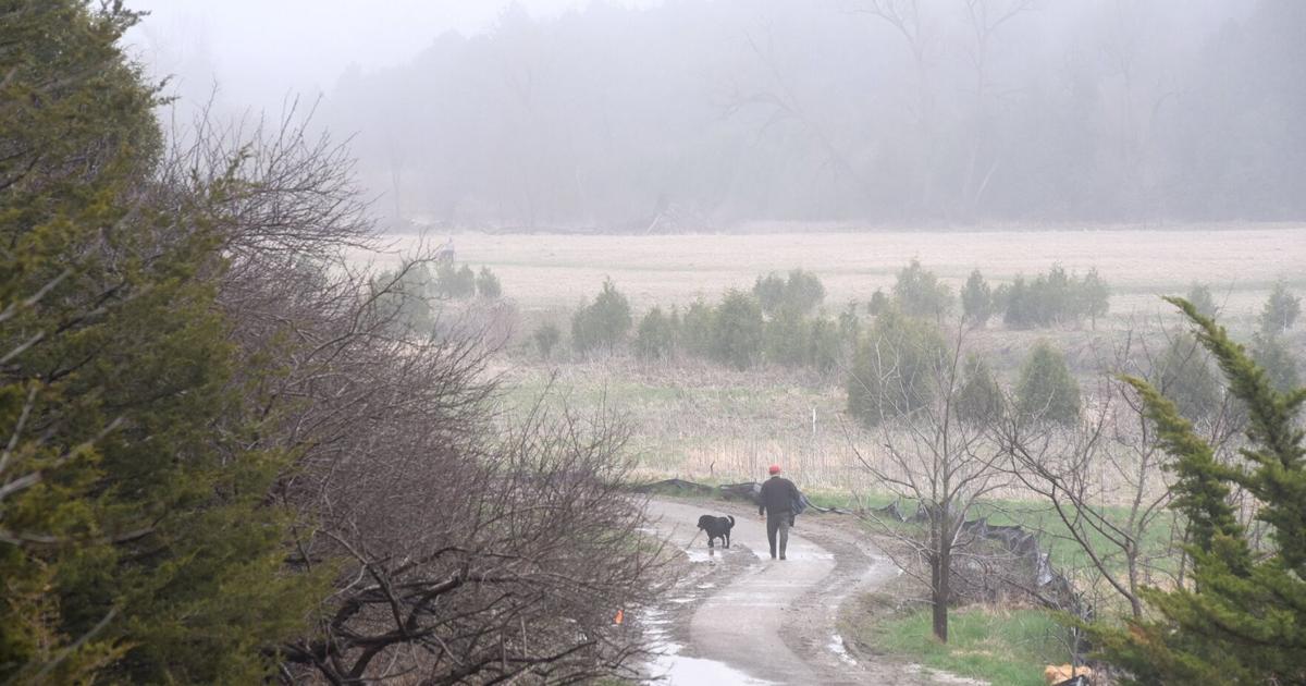 Nokiidaa Trail parking lots set to be paved in East Gwillimbury