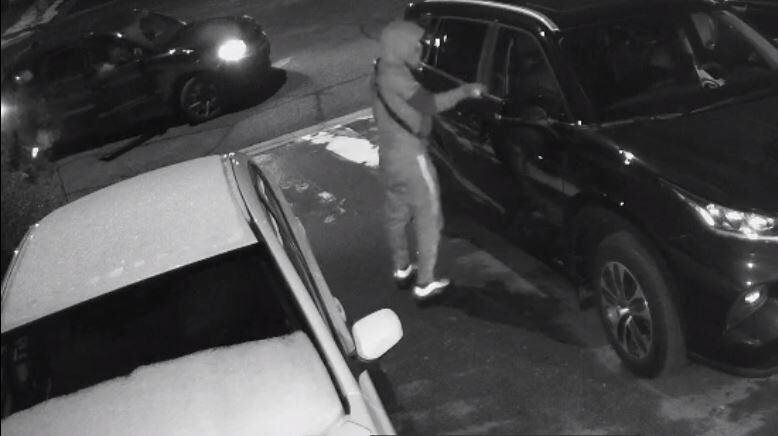 Suspects sought in hate-motivated vandalism in Vaughan