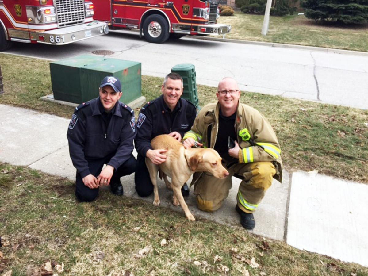 Oregon firefighters rescue dog that fell into well