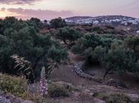 Why Sifnos, Greece, is a trail hiker's dream destination