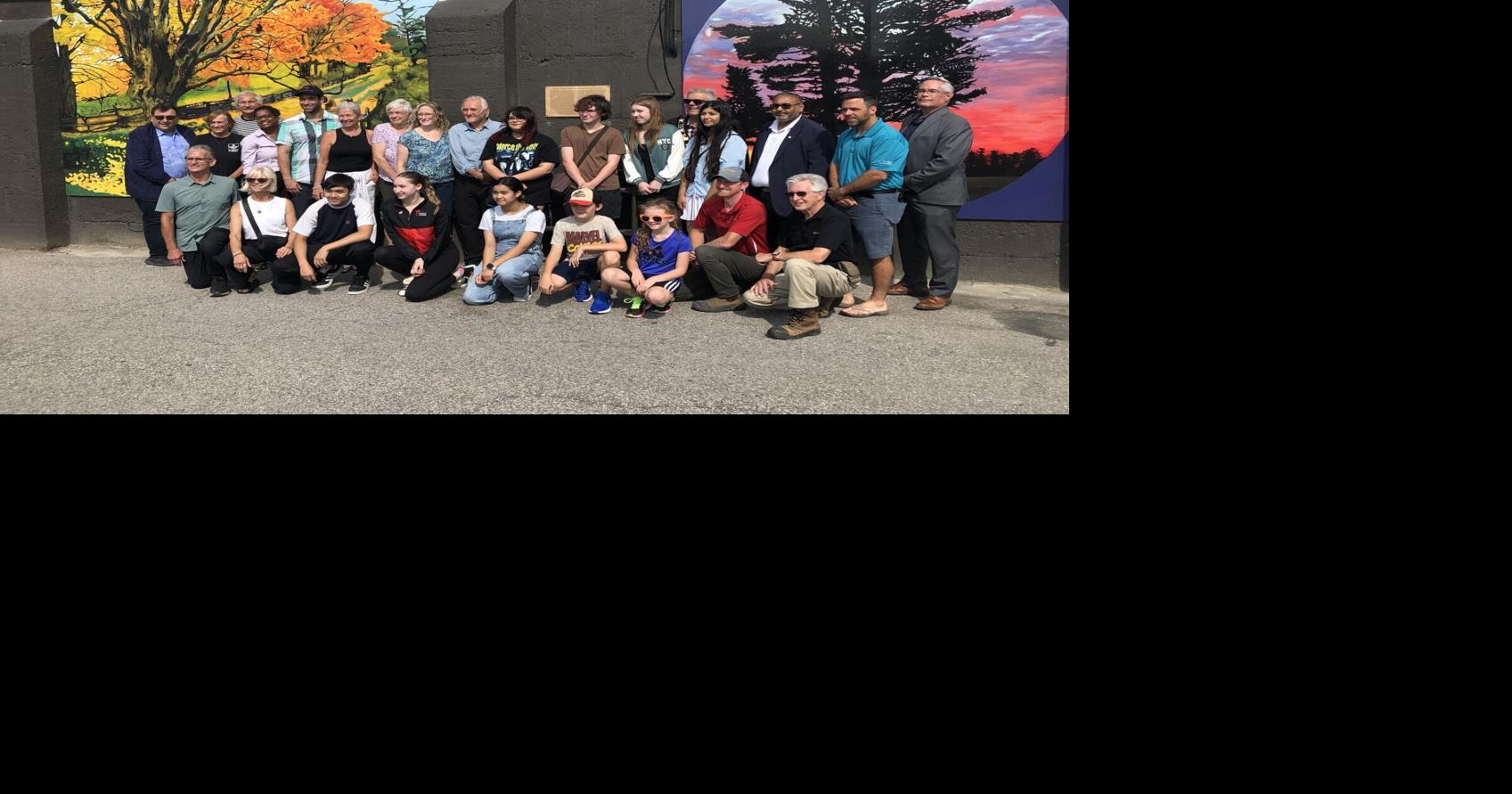 Bradford District High School art students paint bold new murals on ...