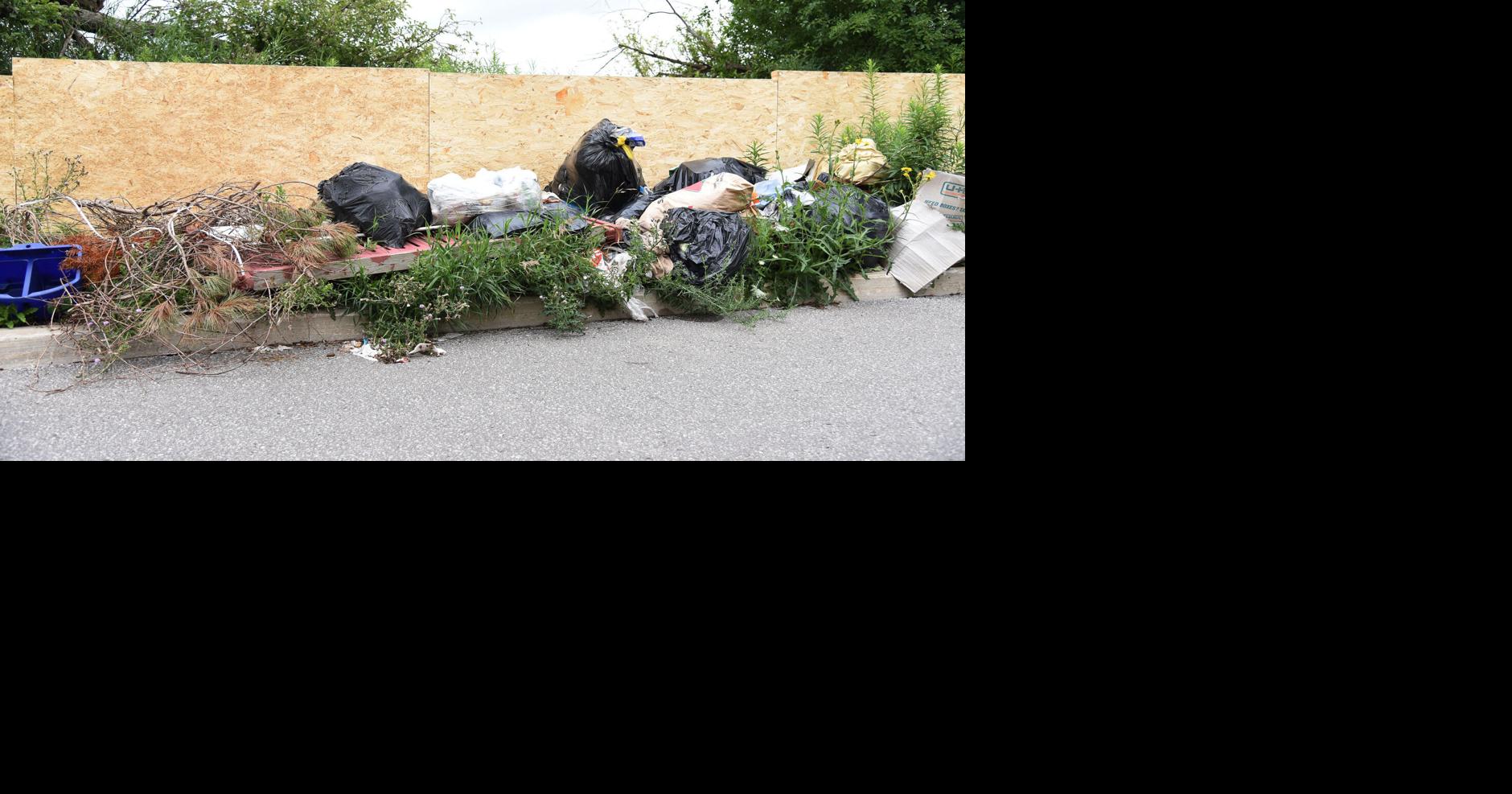 Rotting garbage dumped at plaza drives Markham residents to distraction