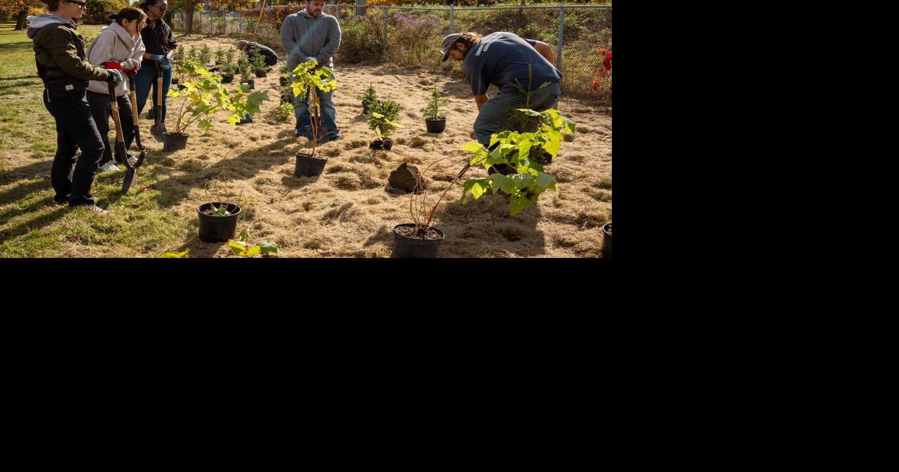 TFL plants 800 trees in Vaughan’s Boyd Conservation Park