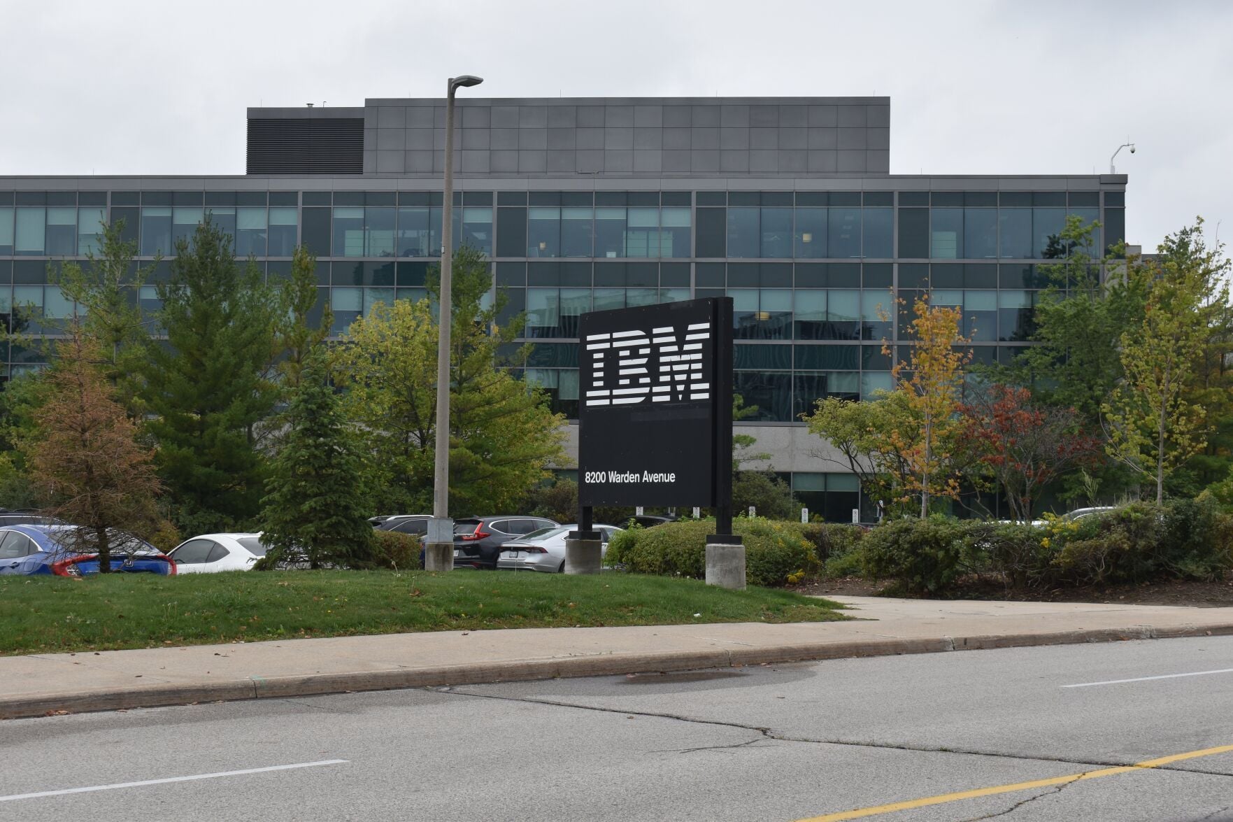 FLAP Canada keeps trying to save birds hitting IBM building