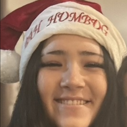 Missing girl , 14 , last seen in Richmond Hill on the weekend