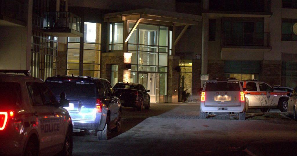 Richmond Hill teen, 18, charged in alleged armed beating of man