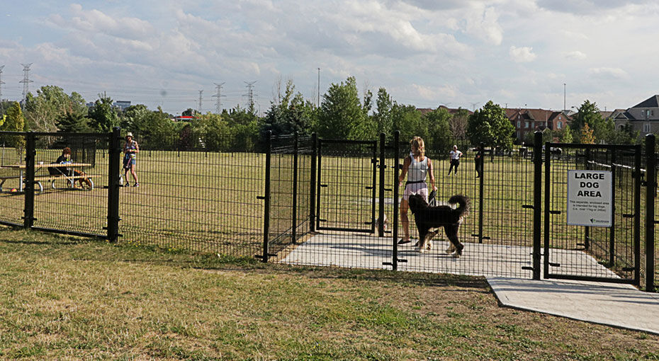 do dog parks have fences