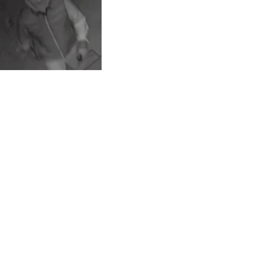 York cops look to ID suspects in Richmond Hill home invasion