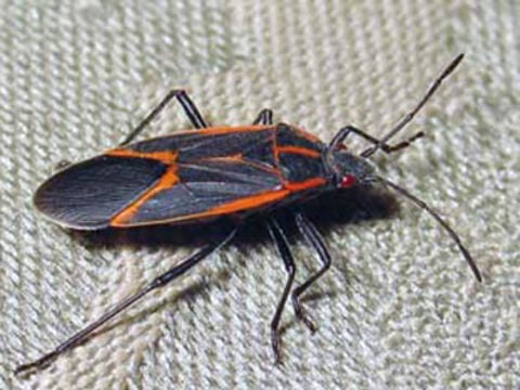 63df86889d961.image.jpg?crop=