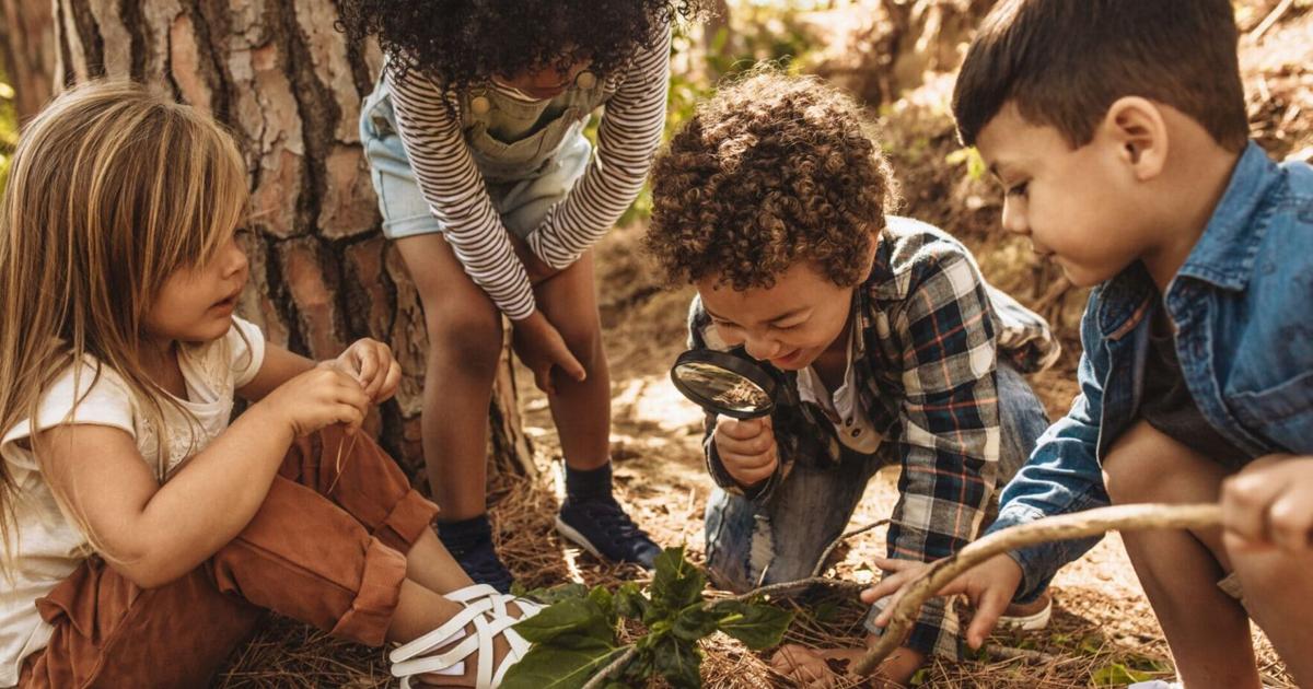 Apple Tree Raz Kid Apple Tree gives kids the head start they need to succeed