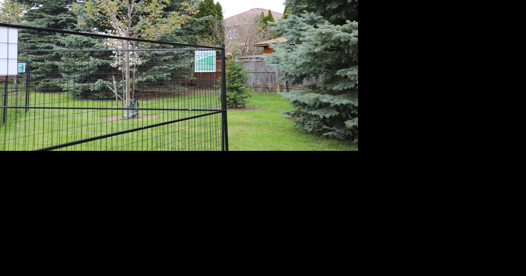 Markham residents are pushing back against a Franklin Carmichael Park sport court. Here’s why