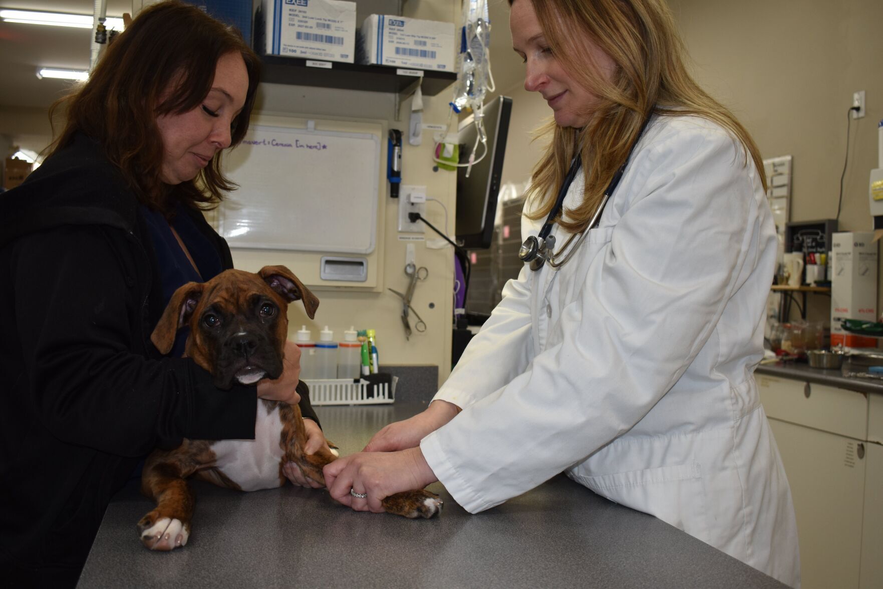 YorkRegion.comDoes your pet need a rabies shot? Vaughan is hosting a pet clinic on Oct. 27Vaughan Animal Services (VAS), dedicated to creating a safe community for 
pets and their owners, is hosting a pet clinic which will offer….21 hours ago