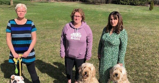 Coyote ugly: Newmarket residents fear aggressive coyotes - Vimarsana News