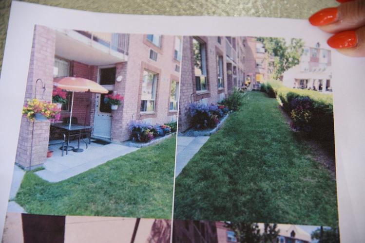 A garden no more Housing York removes flowers from Keswick Gardens