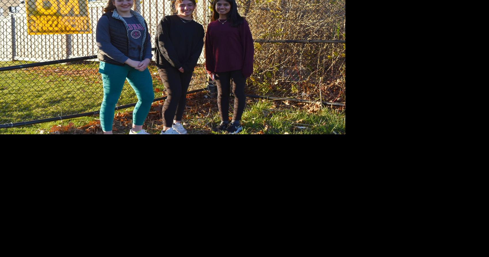 'Everyone likes the idea' Stouffville high school students propose walkway to Longo's plaza