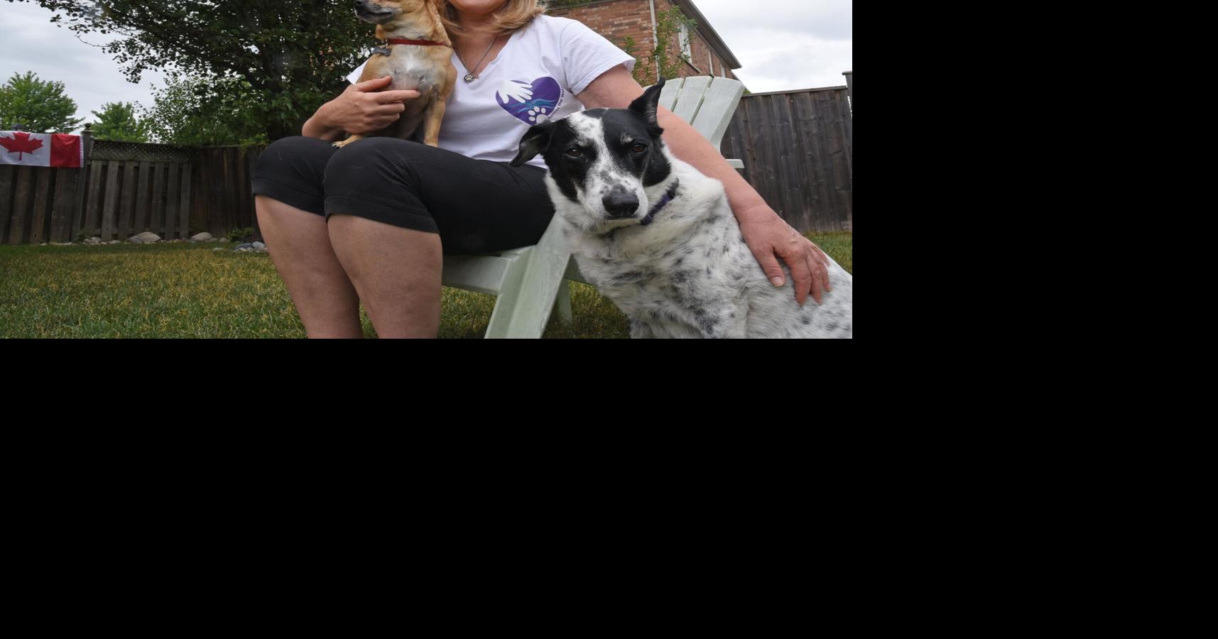 Pet stores, pet owners face tighter rules in Newmarket