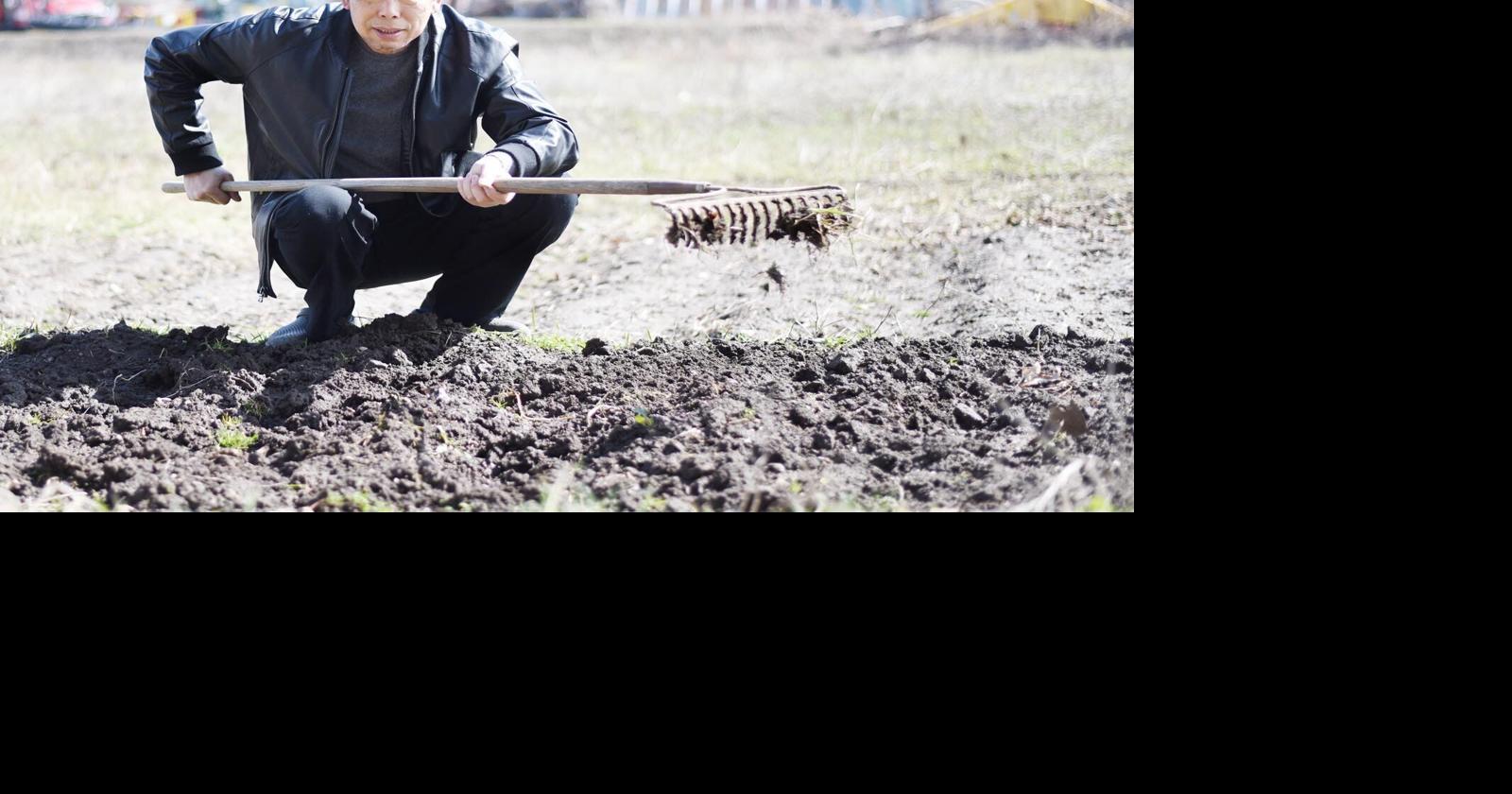 Stouffville resident letting people grow their own vegetables on his land