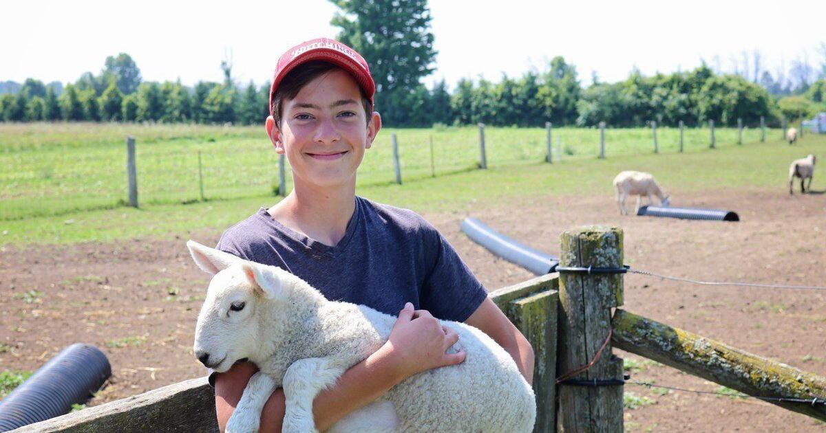 Celebrate more than 200 years of Georgina’s agriculture with Field to Table event highlighting local farmers