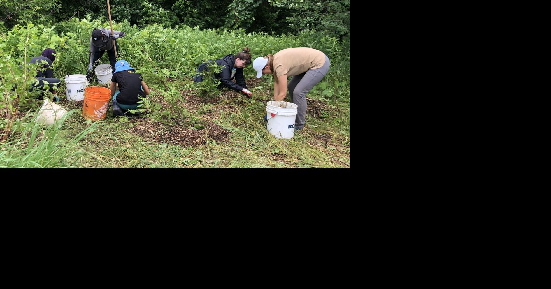 York Region on alert for new invasive species posing threat