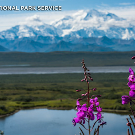 Members of Congress tour Denali National Park and Preserve - Vimarsana News