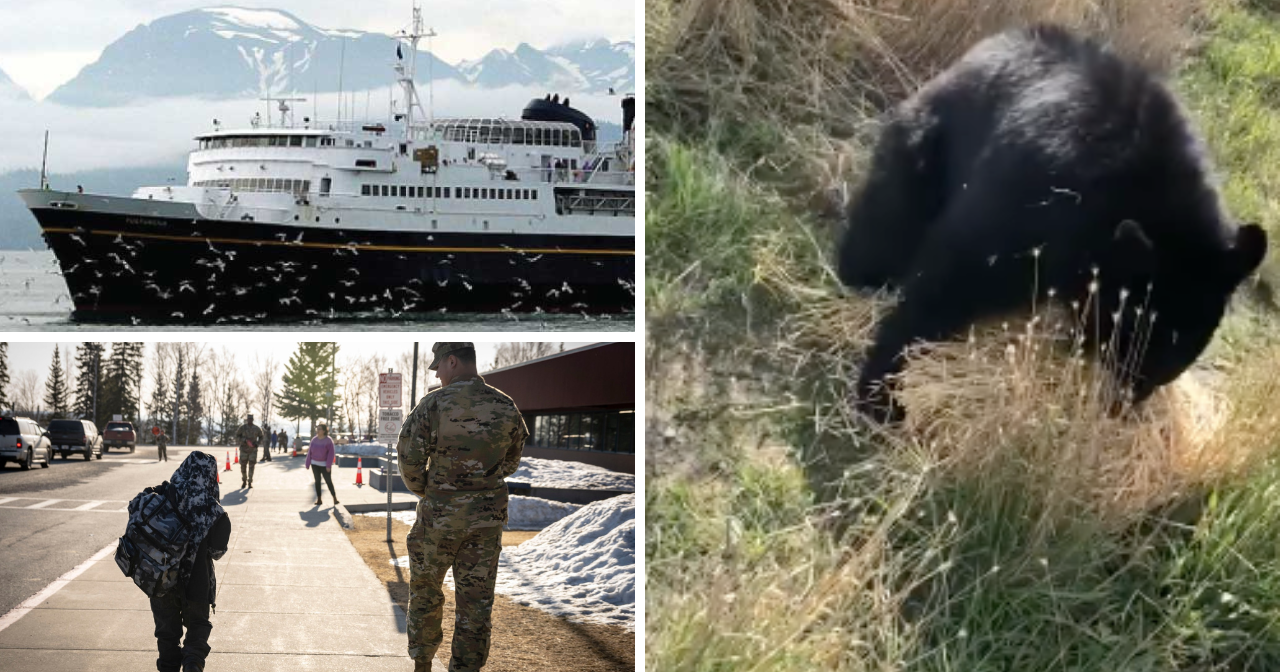 AROUND ALASKA: The Tusty, Military Kids, and Something Smelly?!? - Vimarsana News
