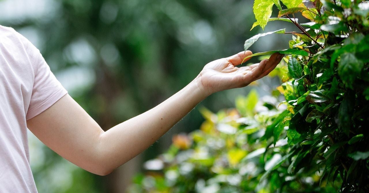 <a href="https://www.youralaskalink.com/news/national/study-suggests-contact-with-nature-encourages-healthy-eating/article_cdbf3ee4-7fa8-5b0b-866b-a909dee9b251.html" target="_blank">Study suggests contact with nature encourages healthy eating</a>