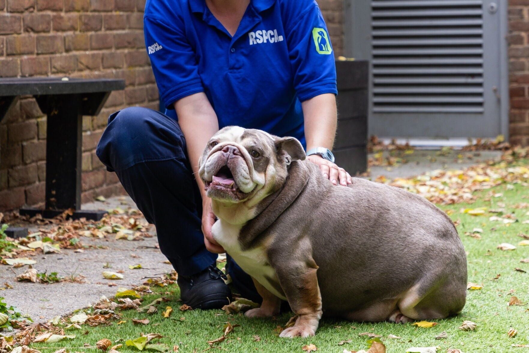 <a href="https://www.youralaskalink.com/news/national/rescue-who-weighed-same-as-baby-hippo-sheds-pounds-finds-home/article_fc3435a5-1daa-513c-a29e-7da35e656b63.html" target="_blank">Rescue who weighed same as baby hippo sheds pounds, finds home</a>
