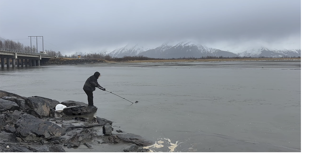 Hooligan fishing season underway in Alaska along Twentymile River