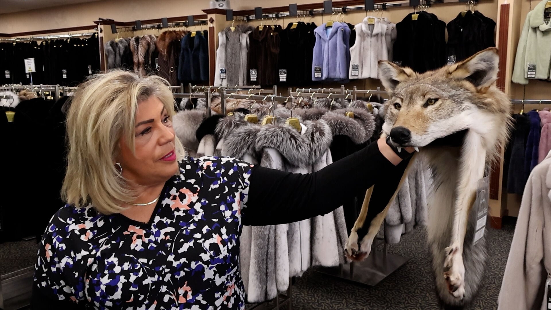 <a href="https://www.youralaskalink.com/fur/image_1d3c3089-7cfa-4aca-8af3-f25031bb950f.html" target="_blank">FUR</a>