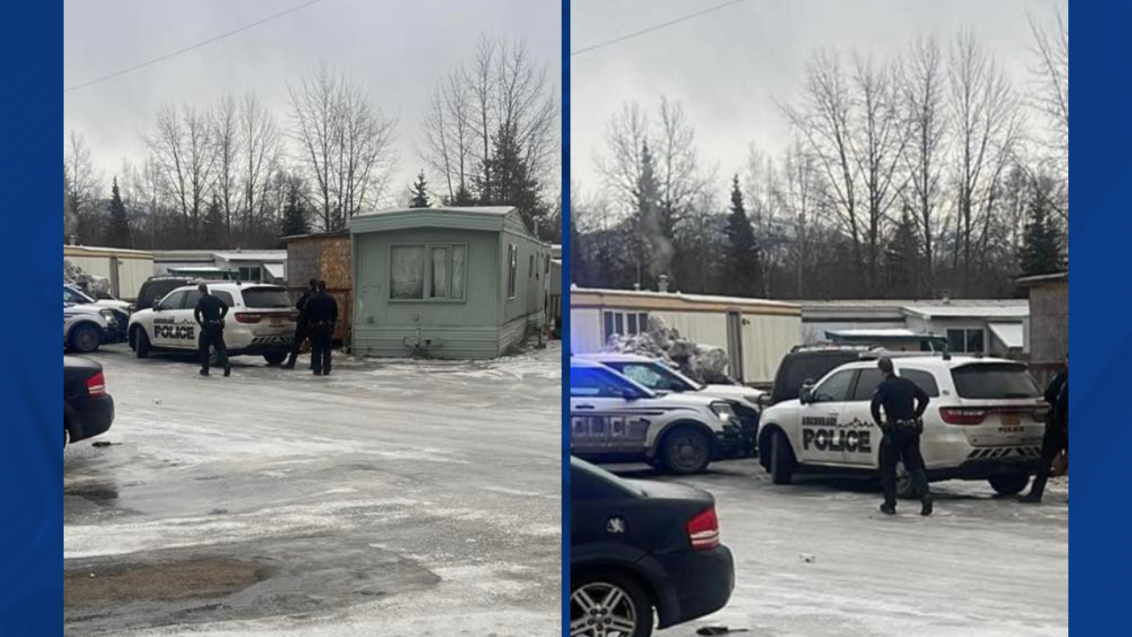Suspect flees Anchorage officers, causing damage and evading arrest
