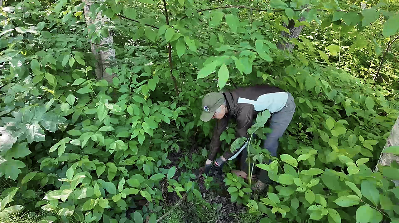<a href="https://www.youralaskalink.com/news/things_to_do/volunteers-invited-for-valley-of-the-moon-habitat-restoration-project/article_9feafd39-9b1a-4054-bb6d-8ef24329d7a8.html" target="_blank">Volunteers invited for Valley of the Moon habitat restoration project</a>
