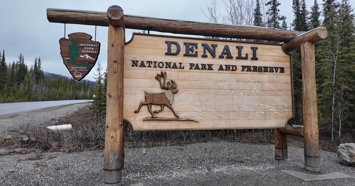 Denali National Park considers increasing daily vehicle limit on park road