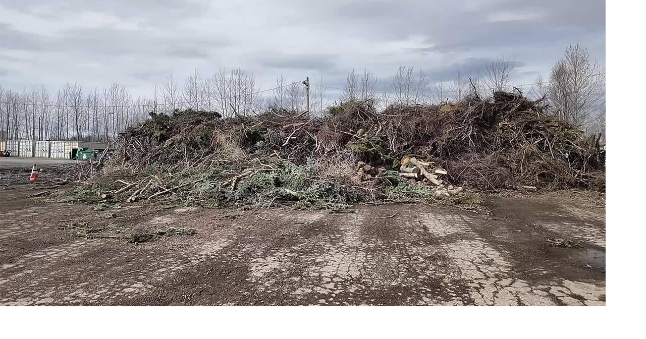 Anchorage wood lot reopens to help reduce wildfire risk