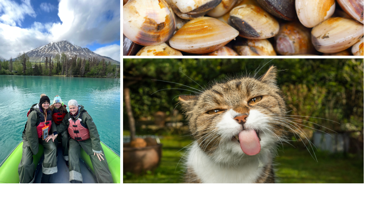 Around Alaska: Shellfish poisoning, winning photo, and coffee with cats ...