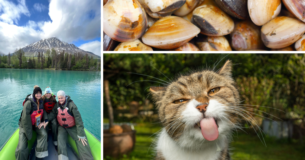 Around Alaska: Shellfish poisoning, winning photo, and coffee with cats ...