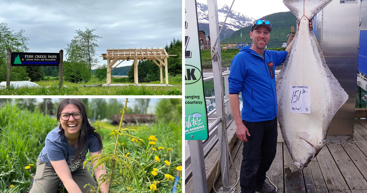 AROUND ALASKA: New Pavillion, New Trees, and a Huge Halbut! - Vimarsana News