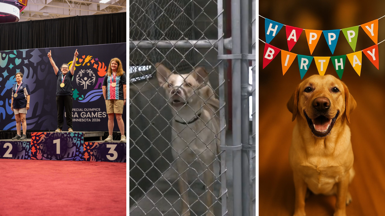 <a href="https://www.youralaskalink.com/around_alaska/around-alaska-medal-success-volunteer-help-and-k9-birthday/article_e803924a-f99f-4818-96ca-1ee0e341d90d.html" target="_blank">AROUND ALASKA: Medal Success, Volunteer Help, and K9 Birthday</a>