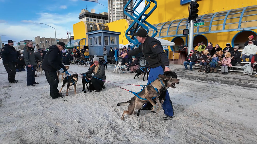PHOTOS: 2025 Rondy Invitational | Fur Rondy | youralaskalink.com