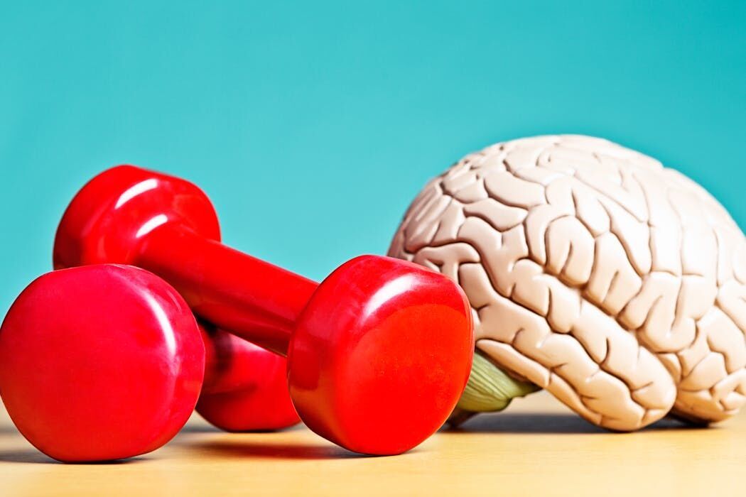 <a href="https://www.youralaskalink.com/arts_and_entertainment/health/research-shows-that-the-brain-can-be-exercised-much-like-our-muscles/image_3defbf37-2511-55b4-96b2-aa83855eb45f.html" target="_blank">Research shows that the brain can be exercised, much like our muscles.</a>