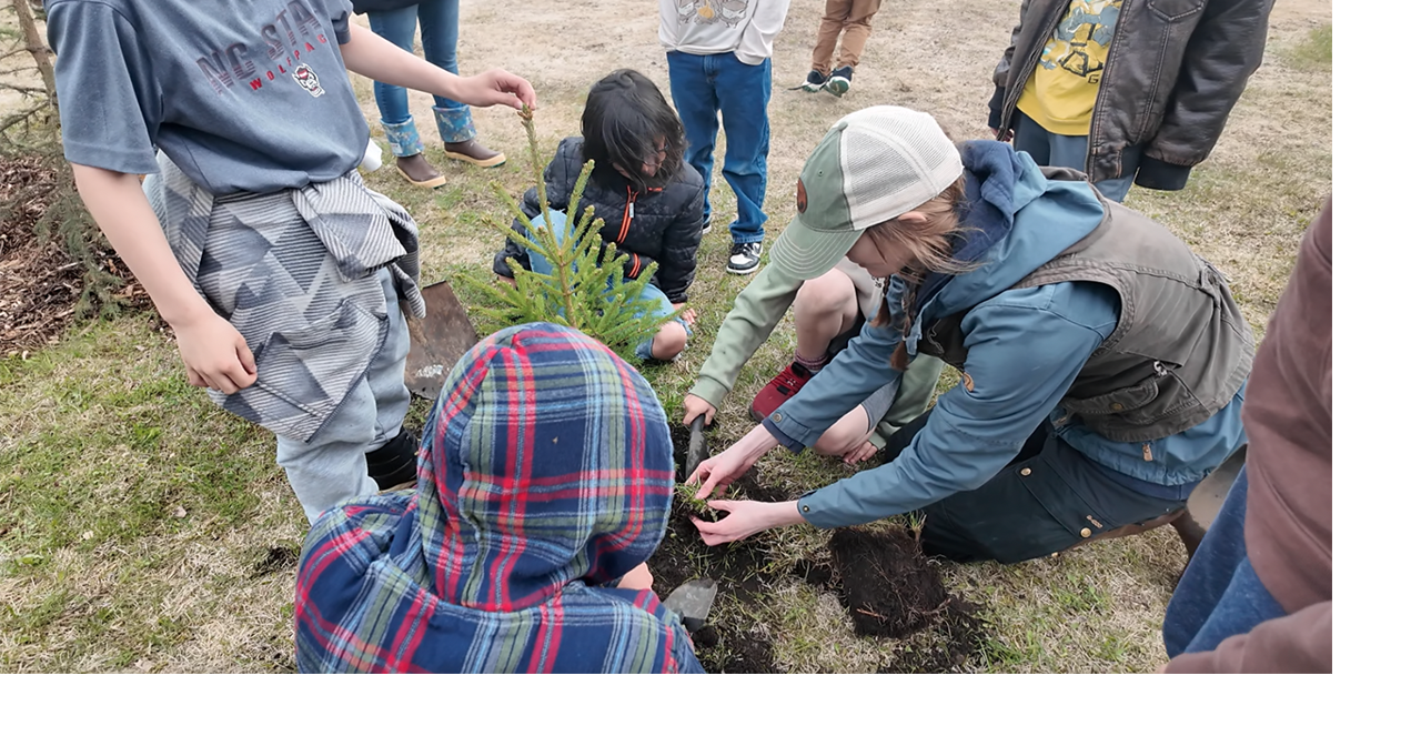 Volunteers plant native trees to restore Anchorage urban forests