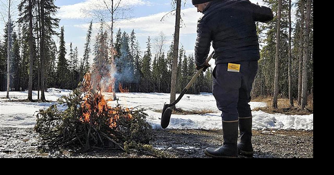 Anchorage opens wood lots for yard debris ahead of wildfire season