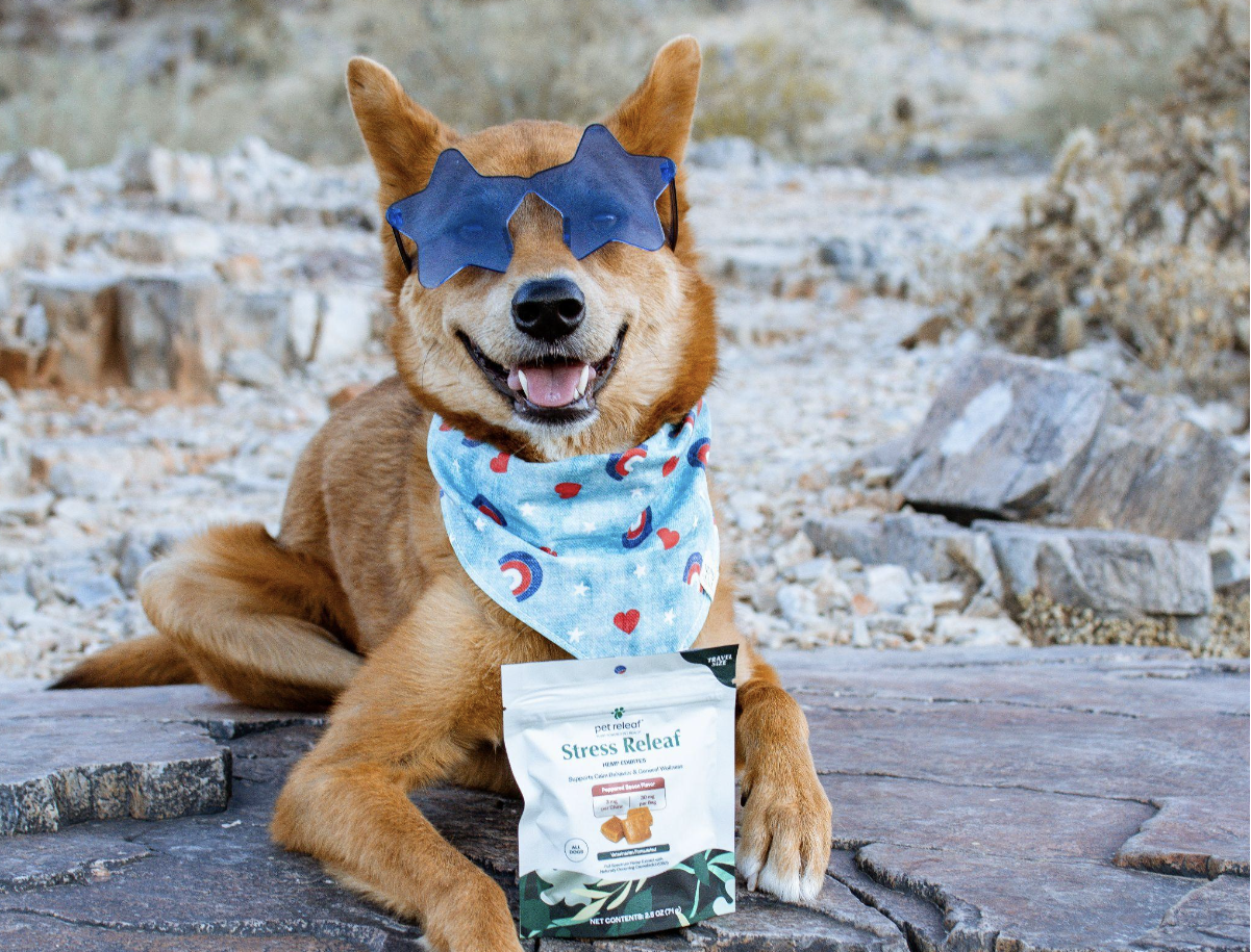 <a href="https://www.youralaskalink.com/pets/the-4th-of-july-keeping-your-pet-safe-and-calm/article_f9abb8b3-74ce-55da-bc86-e1d4a8bf9837.html" target="_blank">The 4th of July: Keeping Your Pet Safe and Calm</a>